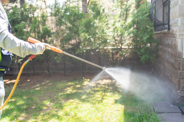 Best Best Pest Control Companies  in Yuipa, CA